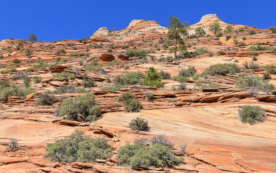 Sandstone formations along the Zion-Mount Carmel Highway in Zion National Park