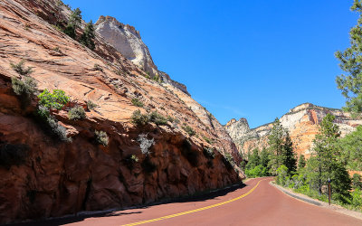 View along the Zion-Mount Carmel Highway in Zion National Park