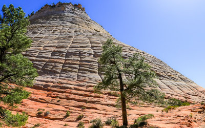 Checkerboard Mesa along the Zion-Mount Carmel Highway in Zion National Park