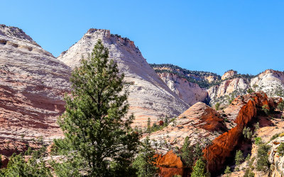 Landscape along the Zion-Mount Carmel Highway in Zion National Park