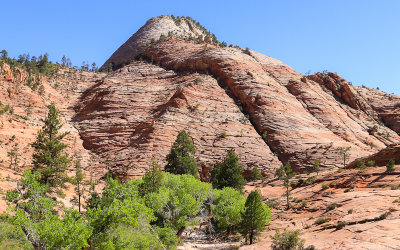 Formation along the Zion-Mount Carmel Highway in Zion National Park