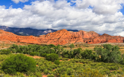 The red cliffs in Red Cliffs National Conservation & Recreation Area