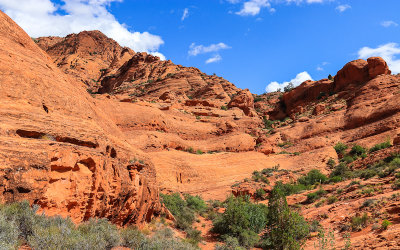 Red rock cliffs in Red Cliffs National Conservation & Recreation Area