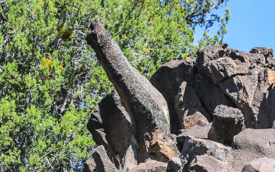 Lava formation at Nampaweap in Grand Canyon-Parashant National Monument