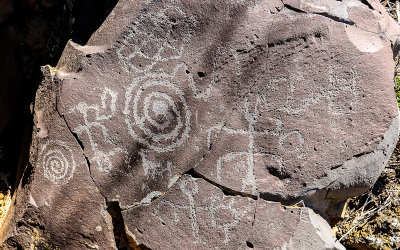 Nampaweap Petroglyph on lava rock in Grand Canyon-Parashant National Monument