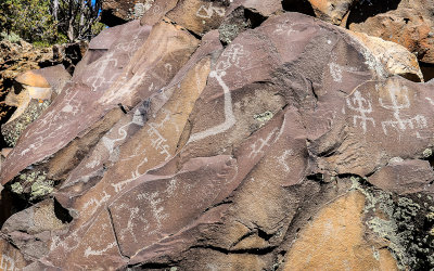 Spectacular array of Nampaweap petroglyphs in Grand Canyon-Parashant National Monument