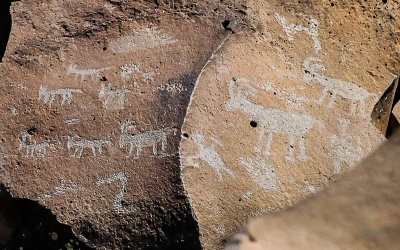 Bighorn sheep petroglyphs at Nampaweap in Grand Canyon-Parashant National Monument