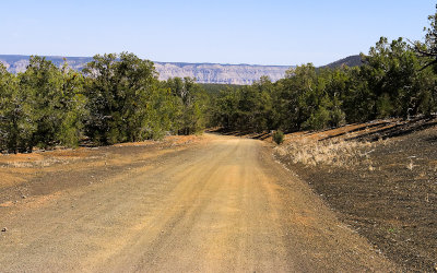 Park road in Grand Canyon-Parashant National Monument