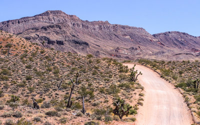 Mountainous area along the park road in Gold Butte National Monument