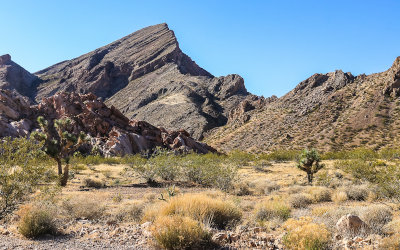 View of the Virgin Mountain foothills from the Whitney Pockets area in Gold Butte National Monument
