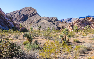 View from the Whitney Pockets area in Gold Butte National Monument