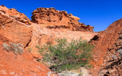 Rock formation in Little Finland in Gold Butte National Monument