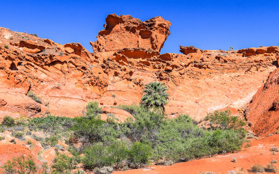 Rock wall formation in Little Finland in Gold Butte National Monument