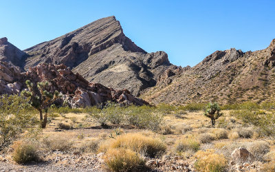 Gold Butte NM  Nevada (2018)