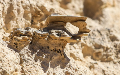 Tiny rock formation at the Durango Road site in Tule Springs Fossil Beds NM