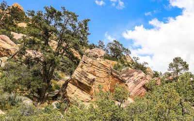 Canyon area in Red Rock Canyon National Conservation Area