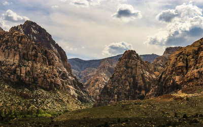 View into the Willow Springs area in Red Rock Canyon National Conservation Area