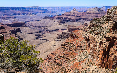 View near the end of the Cape Royal Trail in Grand Canyon National Park