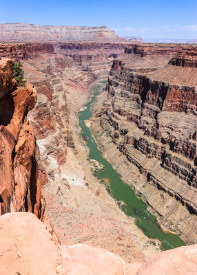 3000 foot canyon walls and the Colorado River from the Toroweap Overlook in Grand Canyon National Park