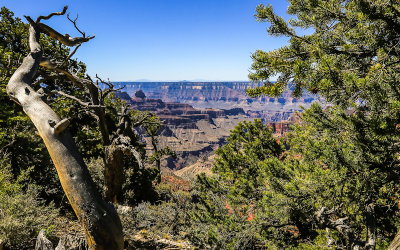 View south from along the Bright Angle Point Trail in Grand Canyon National Park