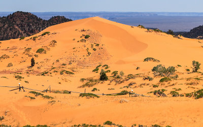 The second highest dune in Coral Pink Sand Dunes State Park
