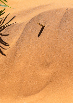 Shadows and wind carved sand in Coral Pink Sand Dunes State Park