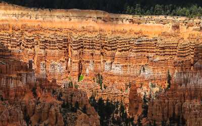 Hoodoos on the north side of the Bryce Amphitheater in Bryce Canyon National Park