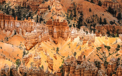 The sun lights up hoodoos in the Bryce Amphitheater in Bryce Canyon National Park