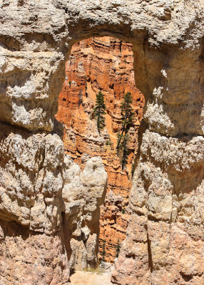 Looking through a window in the Wall of Windows in Bryce Canyon National Park