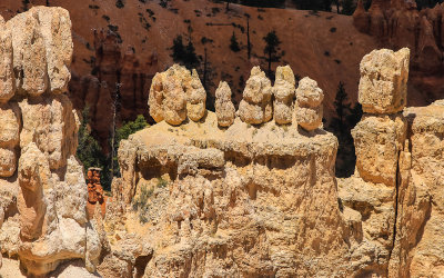 Bryce Amphitheater hoodoos in Bryce Canyon National Park