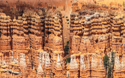 Hoodoos on the north end of the Bryce Amphitheater in Bryce Canyon National Park