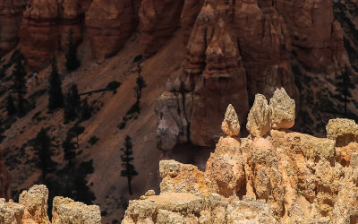 Highlighted formations in the Bryce Amphitheater in Bryce Canyon National Park