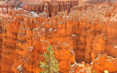 View of the Silent City from along the Navajo Trail in Bryce Canyon National Park