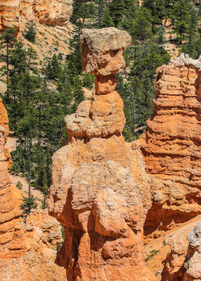 Thors Hammer along the Navajo Trail in Bryce Canyon National Park
