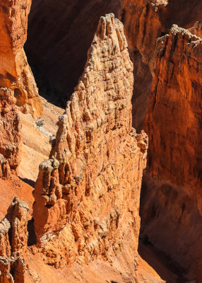 A fin in the Amphitheater in Cedar Breaks National Monument