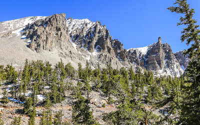 Jagged peaks as seen from the Bristlecone Trail in Great Basin National Park
