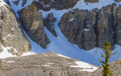 Close up of Rock Glacier and Moraine from along the Glacier Trail in Great Basin National Park