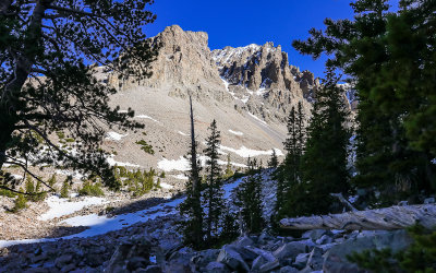 View along the snow covered Glacier Trail in Great Basin National Park