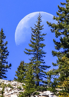 The moon setting over Stella Lake along the Alpine Lakes Trail in Great Basin National Park