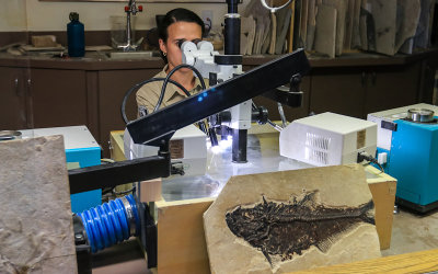 Park Ranger works on a fossil specimen in Fossil Butte National Monument