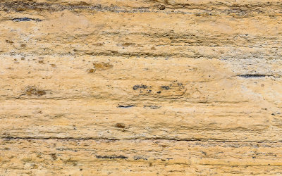 Short dark horizontal lines are fossils in the Historic Quarry in Fossil Butte National Monument
