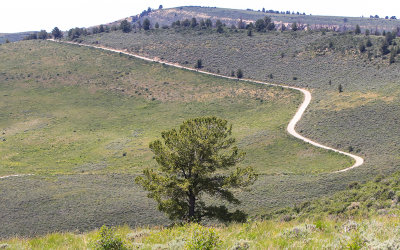 Dirt portion of the Scenic drive as seen from the Cundick Ridge Road Trail in Fossil Butte National Monument