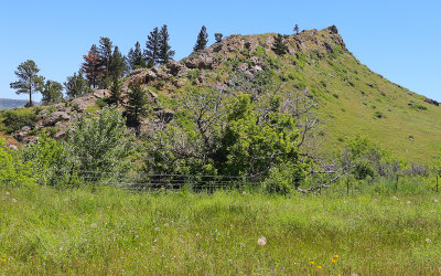 Rocky escarpment covered with grass in Bighorn Canyon National Recreation Area - North