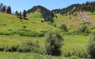 Grass covered terrain in Bighorn Canyon National Recreation Area - North