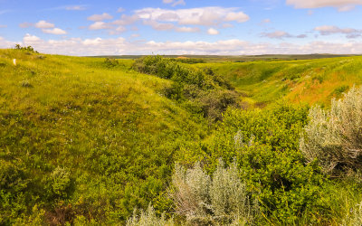 The Deep Ravine at the end of the Deep Ravine Trail in Little Bighorn Battlefield National Monument