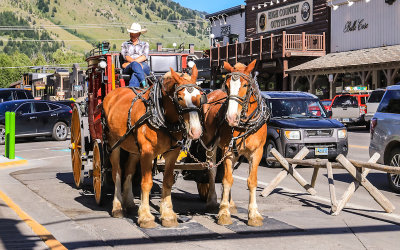 Stagecoach in the Town Square in Jackson Hole Wyoming