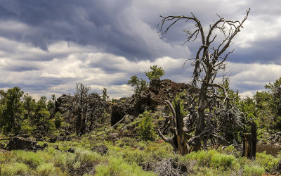 Ominous clouds over the Devils Orchard Nature Trail in Craters of the Moon National Monument