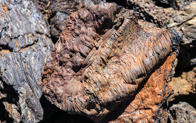 Lava flow frozen in time along the Tree Molds Trail in Craters of the Moon National Monument