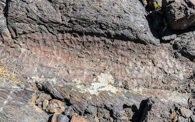 Lava mold of a fallen tree trunk along the Tree Molds Trail in Craters of the Moon National Monument