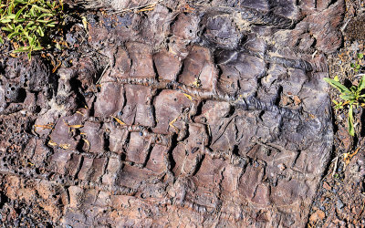 Impression in lava of tree bark along the Tree Molds Trail in Craters of the Moon National Monument